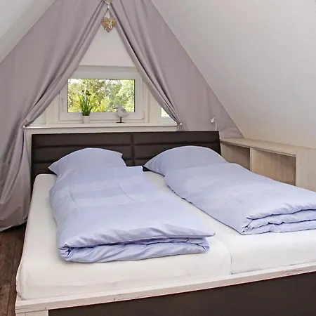 Tatil Evi Muschelsucher